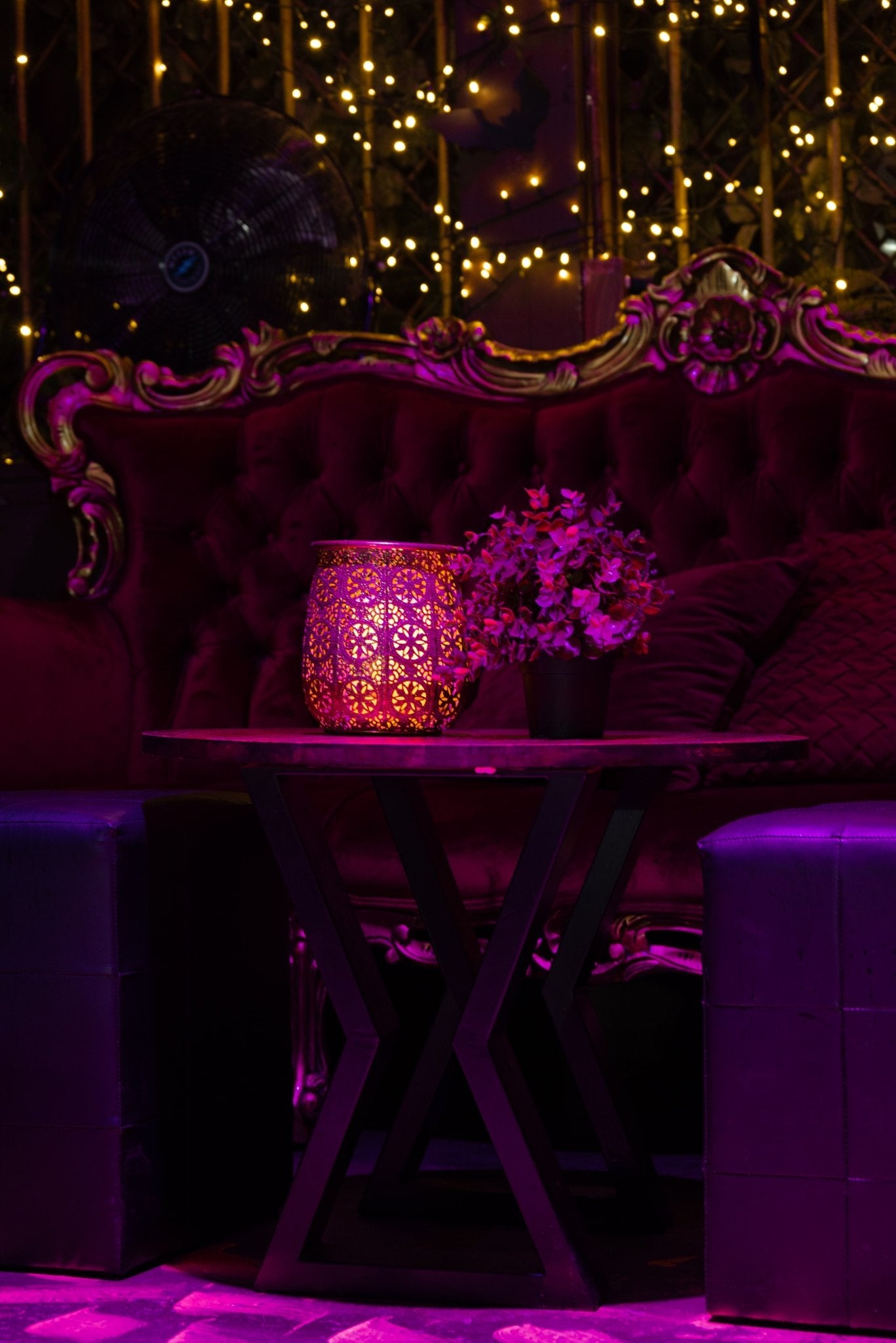 The Captain's Treasure - Jolly Roger Bar Fortitude Valley